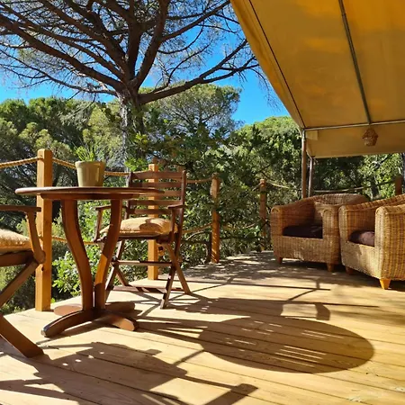 Tentes Sahariennes Au Coeur Du Golfe De St Tropez 럭셔리텐트