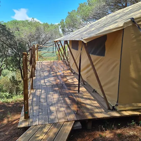 Tentes Sahariennes Au Coeur Du Golfe De St Tropez * 가신